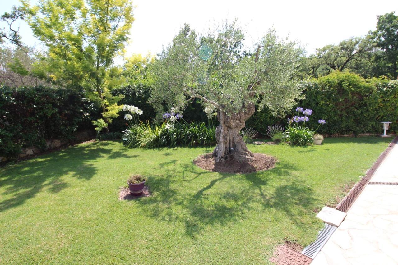 Villa Jalna Chambre, Suites Et Appartement Roquefort-les-Pins Esterno foto